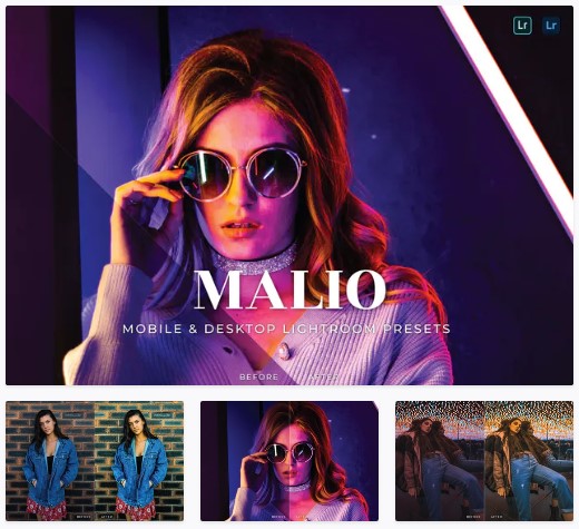 [Elements.Envato] Malio Mobile and Desktop Lightro_0.jpg